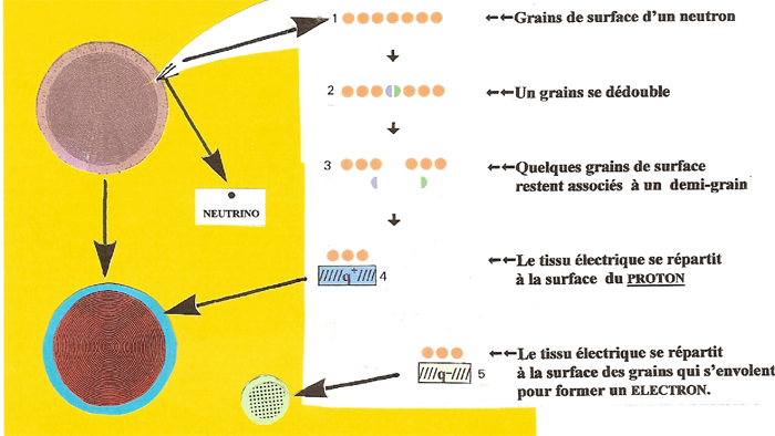 Schéma désintégration neutron