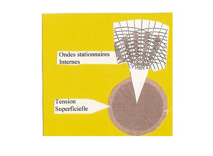 Schéma oscillation neutron